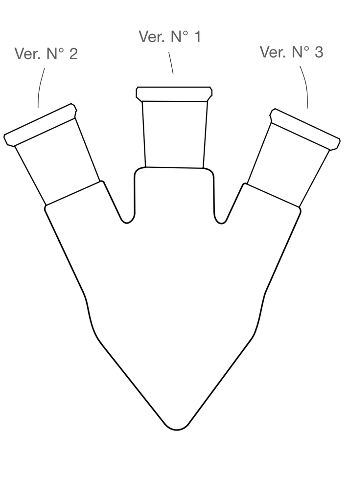 LabGlas | Spitzkolben mit seitlichen Verbindungen